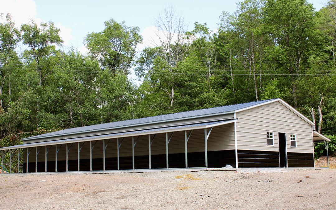 New Animal Boarding Update