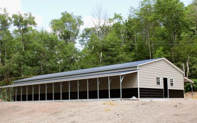 New Animal Boarding Update